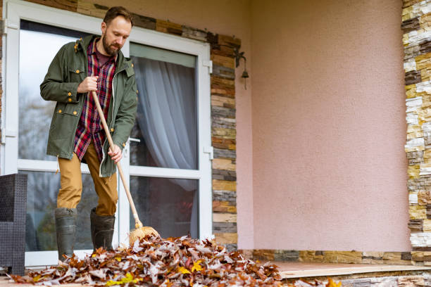 Trusted Webster Groves, MO Junk Removal Experts